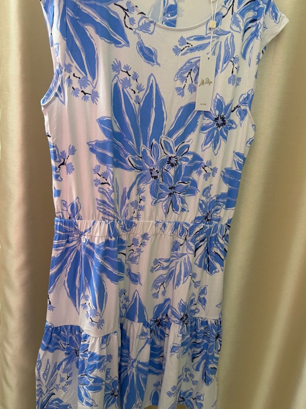 Lilly Pulitzer Blue and White Floral Tiered Dress